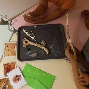 Atelier scolaire d'archéologie : le métier d'archéologue préhistorien